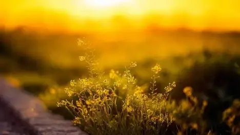 比赛掉线引发时光回溯争议：官方规则下的LPL赛事公正性拷问与电竞比赛中断反思-雷火竞技